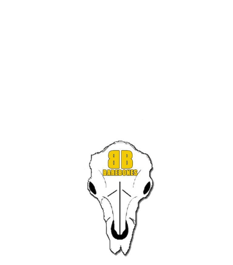 Barebones International Film Festival 2016 - Official Selection