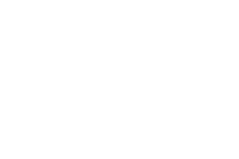 Starburst International Film Festival 2016 - Official Selection